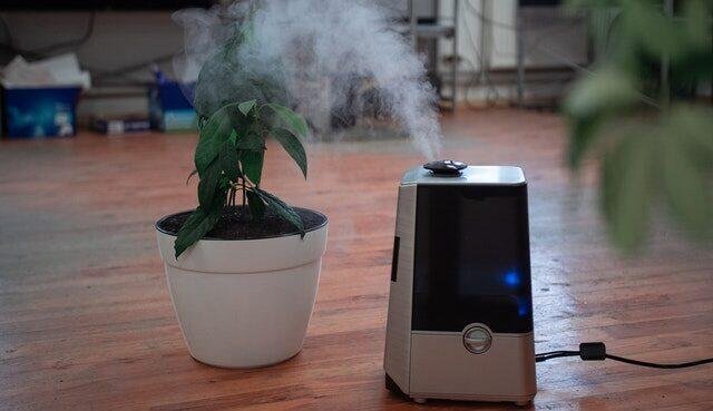 5 Best Air Purifiers in India: Buyer’s Guide and Reviews