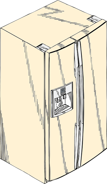 The Pros and Cons of Different Types of Refrigerators - Which one you should buy? 3 Side by side refrigerator
