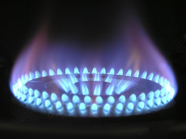 Guide for Gas Stove Burners