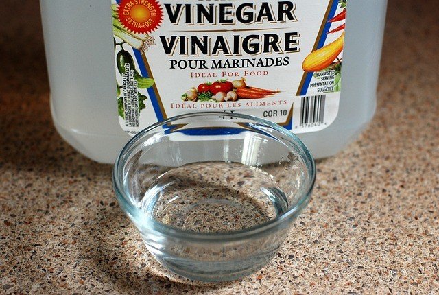 Place a bowl of vinegar