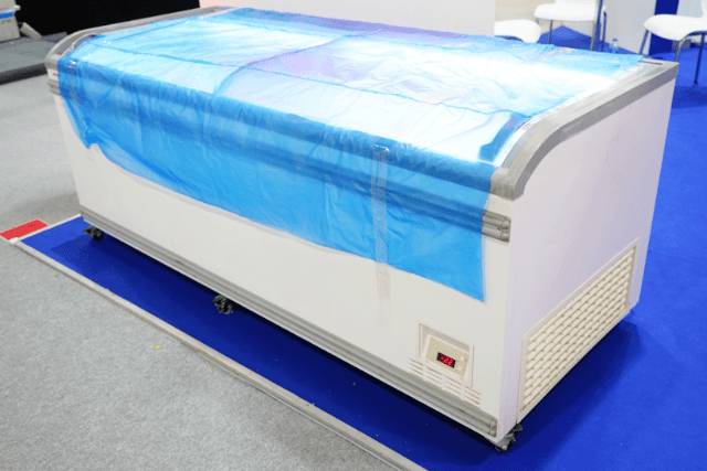 Best Double Door Deep Freezer in India for Commercial Use